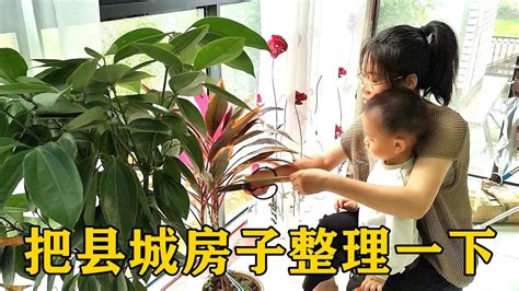 房子久沒人住淨化|【房子久沒人住淨化】房子久沒人住，如何淨化磁場？風水師親。